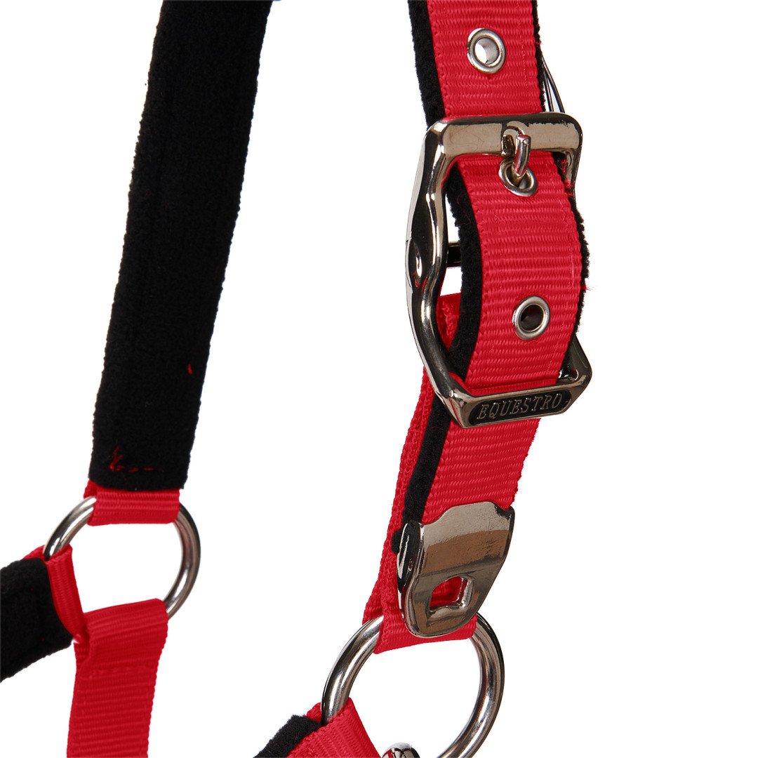 Cavezza Equestro C lunghina Modello Shiny Fittings