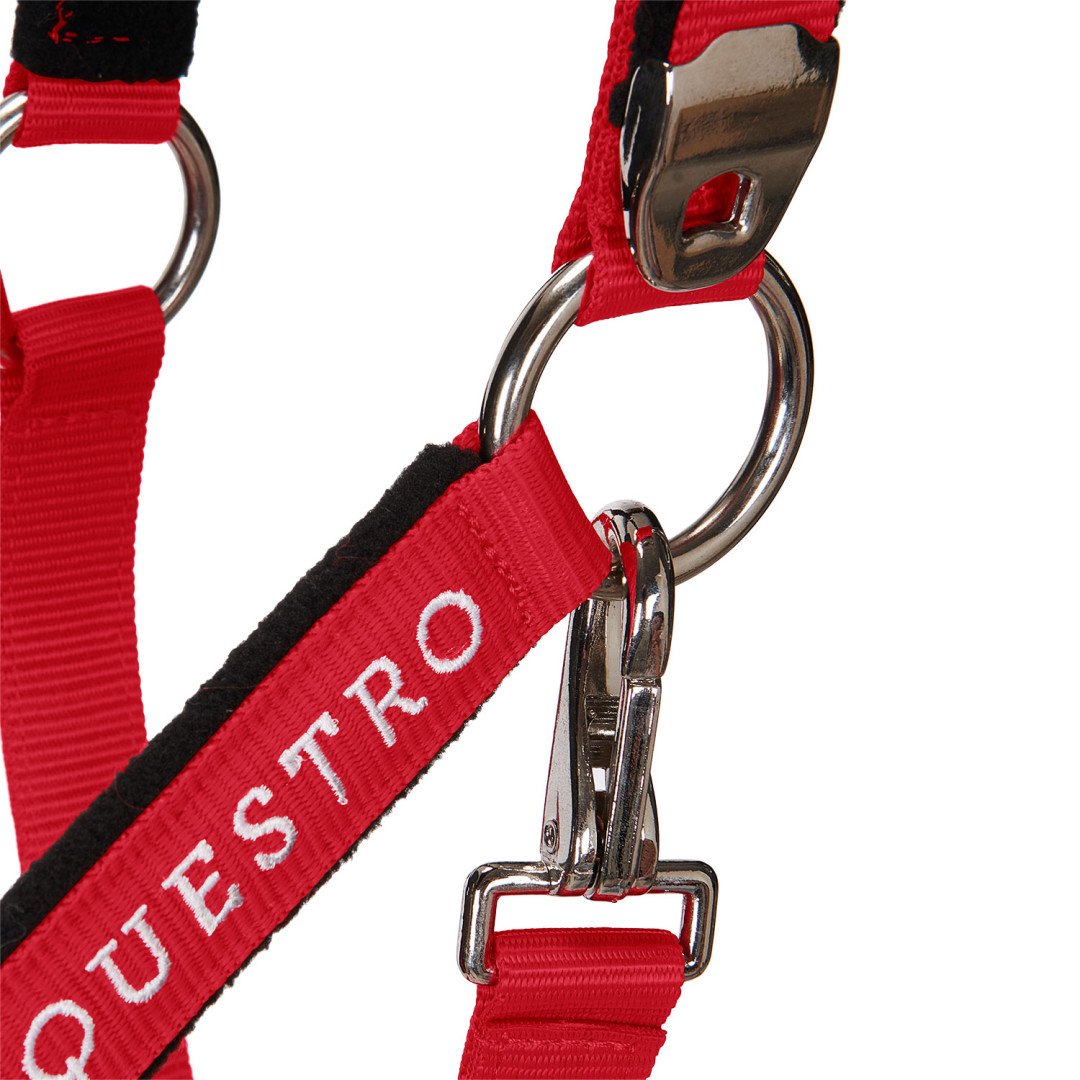 Cabestro de plomo Cabezada C, modelo Equestro brillantes