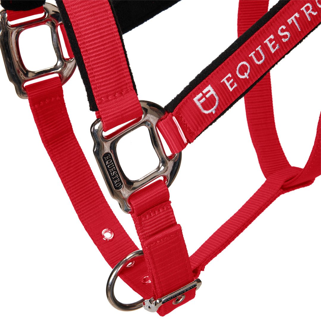Cavezza Equestro C lunghina Modello Shiny Fittings