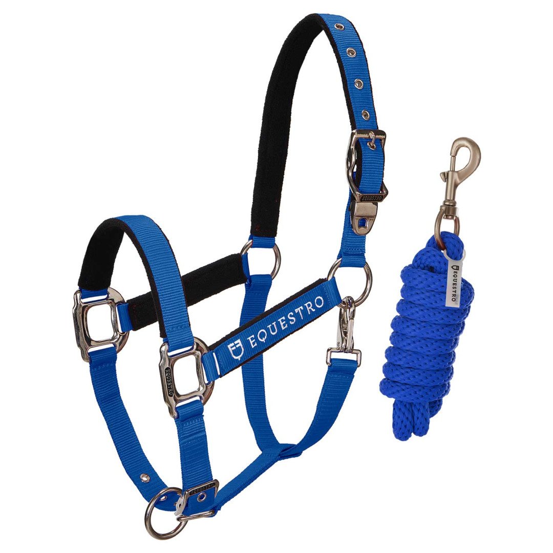 Halter C Lead Halter Model Shiny Equestro