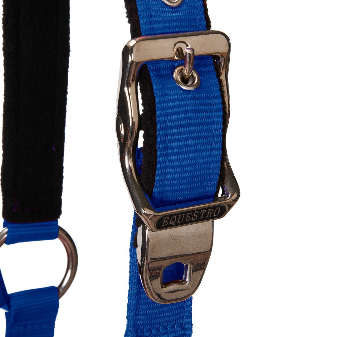 Halter C Lead Halter Model Shiny Equestro