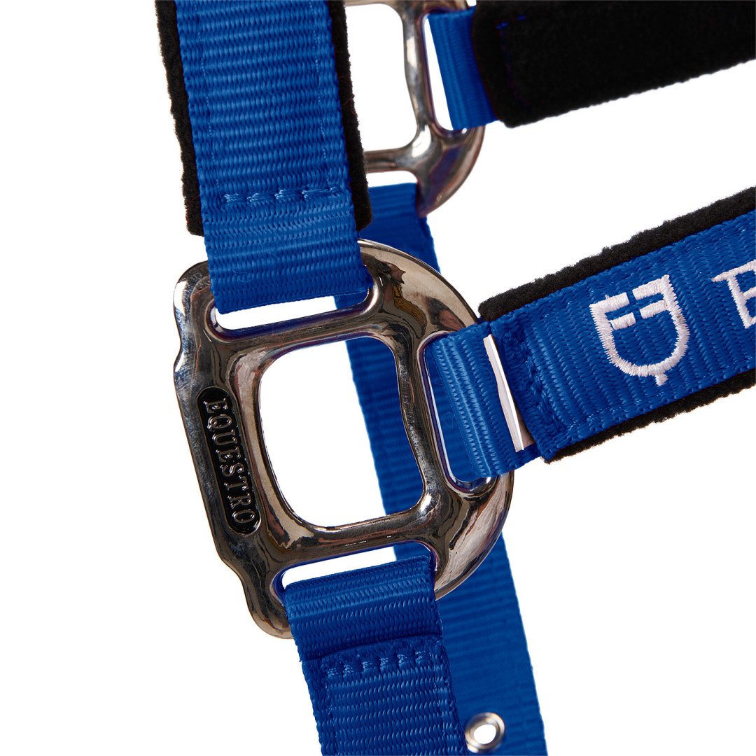 Halter C Lead Halter Model Shiny Equestro