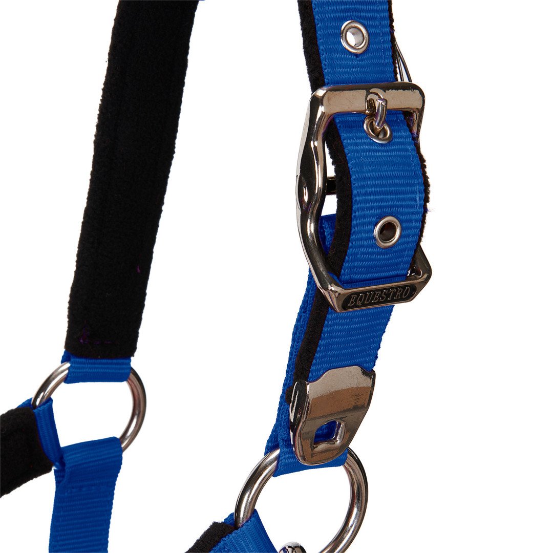 Halter C Lead Halter Model Shiny Equestro