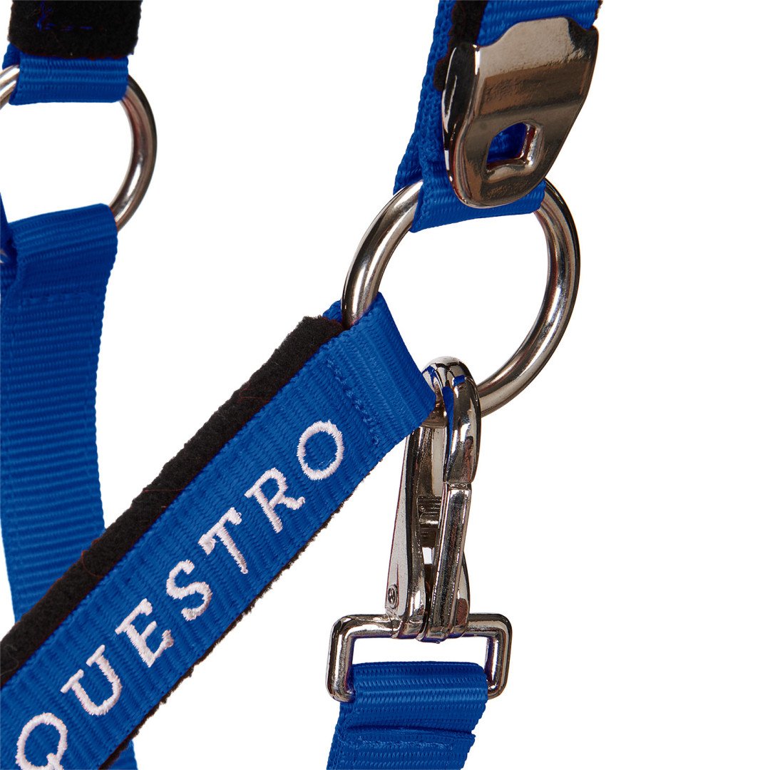 Halter C Lead Halter Model Shiny Equestro