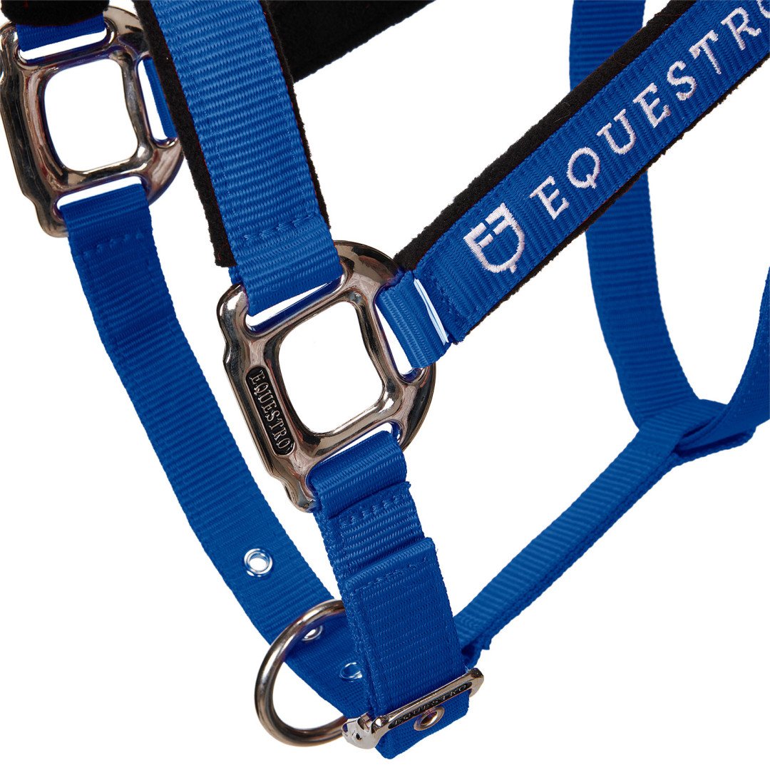 Halter C Lead Halter Model Shiny Equestro