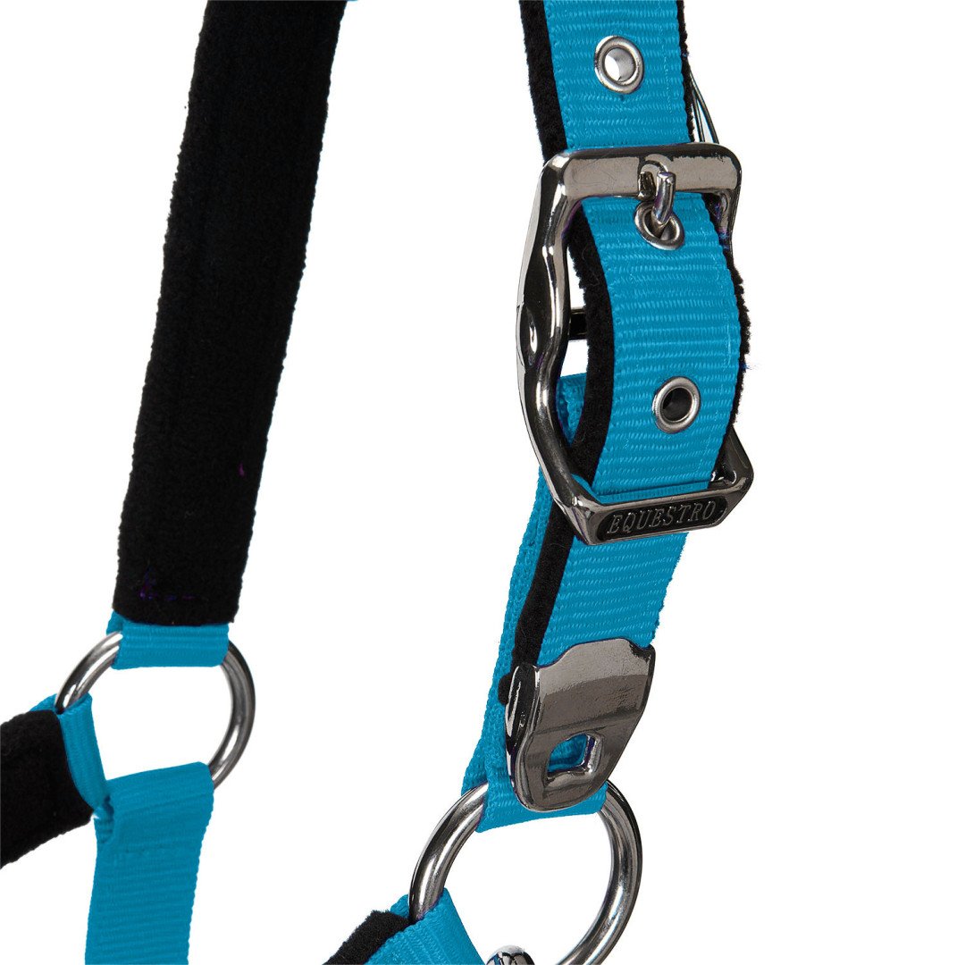 Licol Licol C, modèle Shiny Equestro