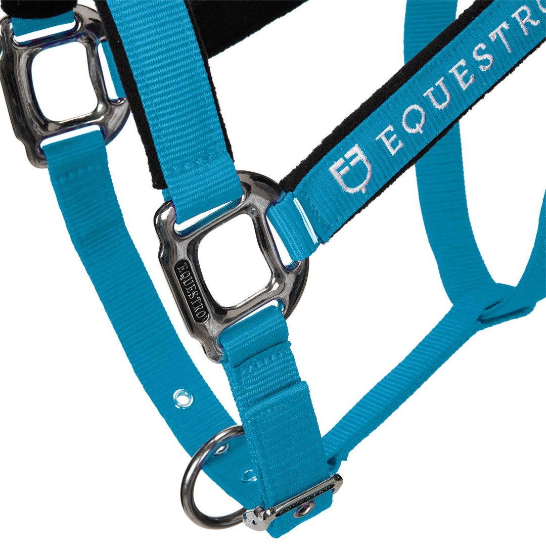 Cavezza Equestro C lunghina Modello Shiny Fittings