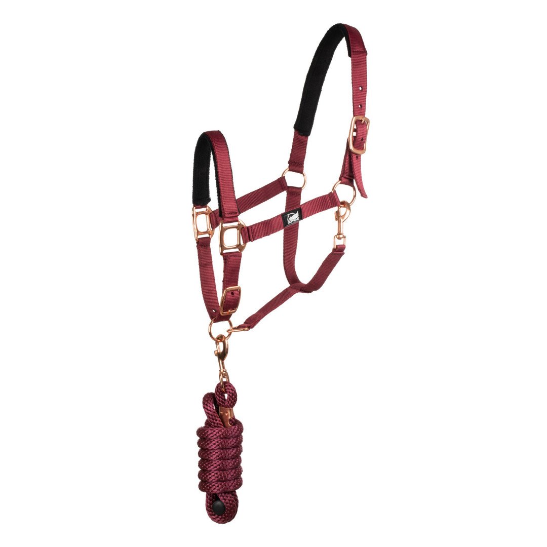 Cavezza Equestro C lunghina Modello Shiny Fittings