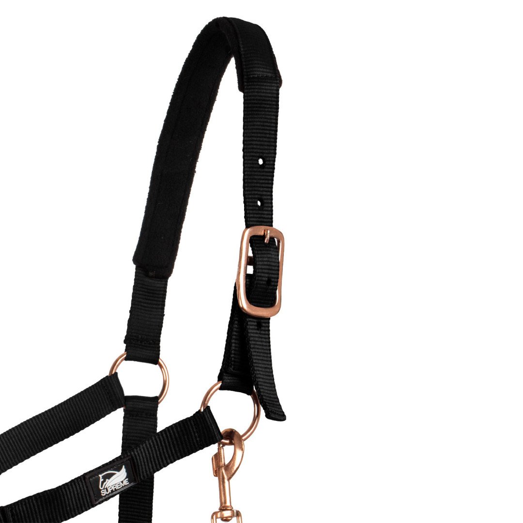Rose Gold Line Nylon Halter