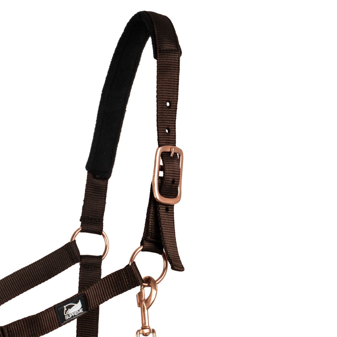 Nylon- Halfter mit roségoldener Linie