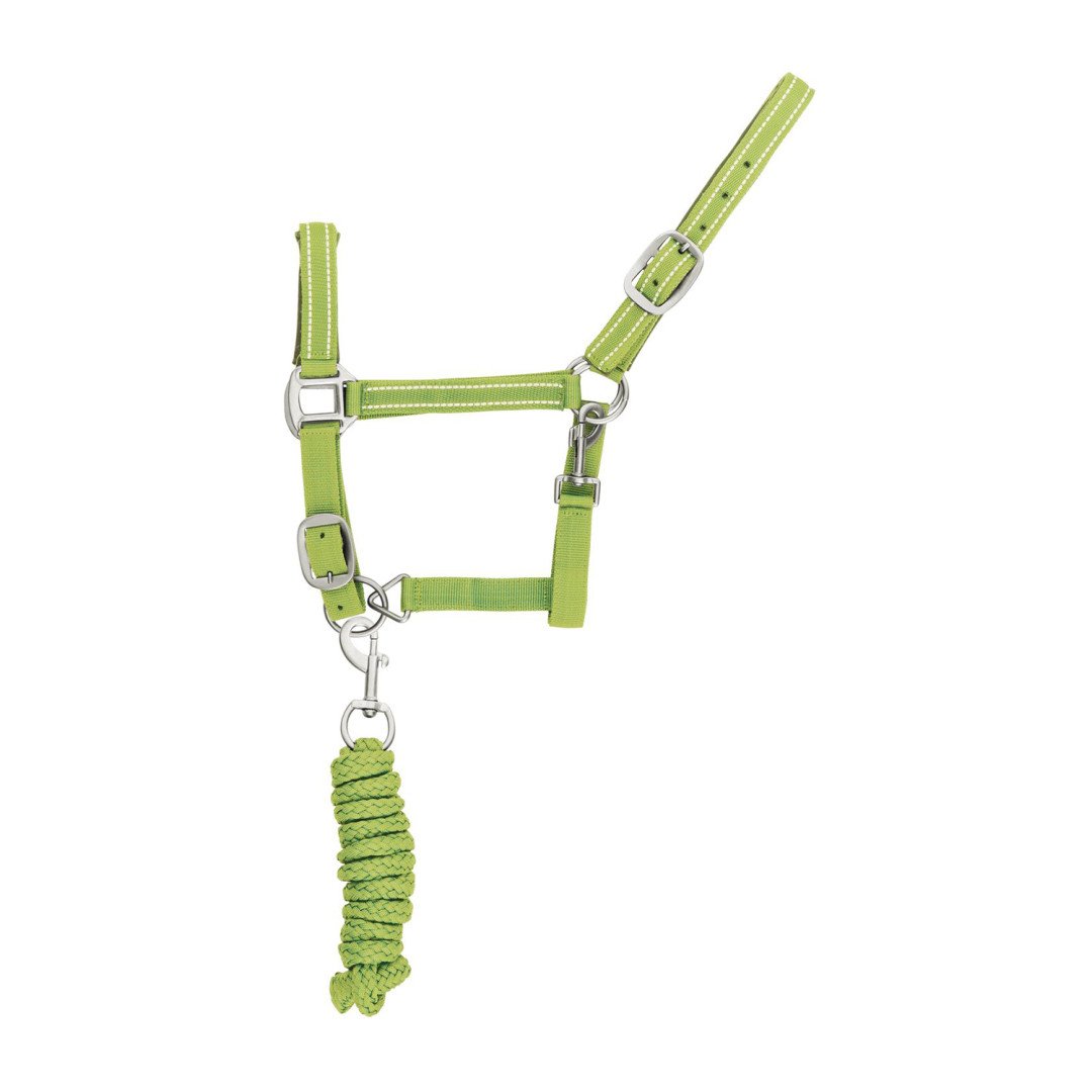 Nylon-C- Halfter mit Führleine, reflektierendes Modell