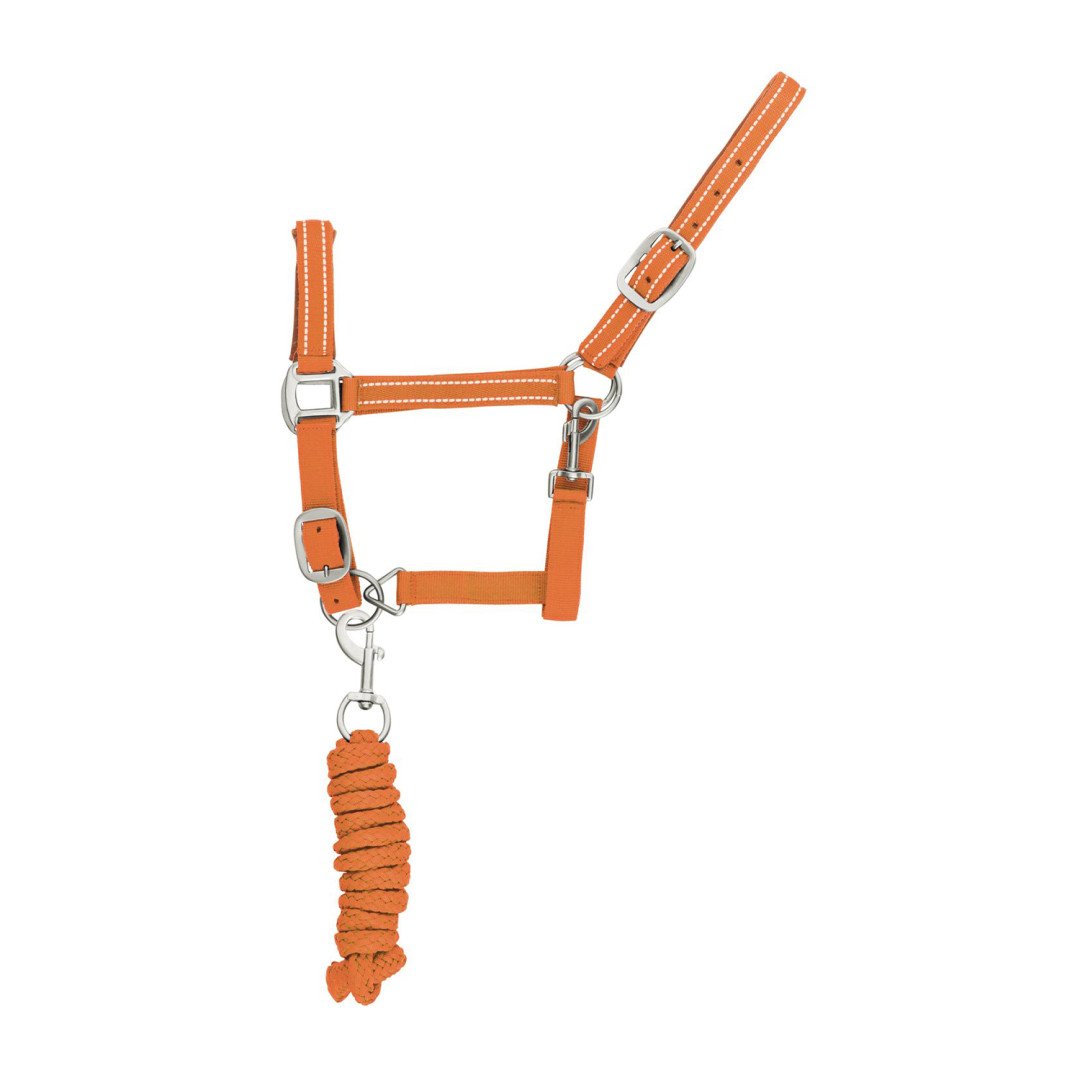 Cavezza Nylon C lunghina Modello Reflective