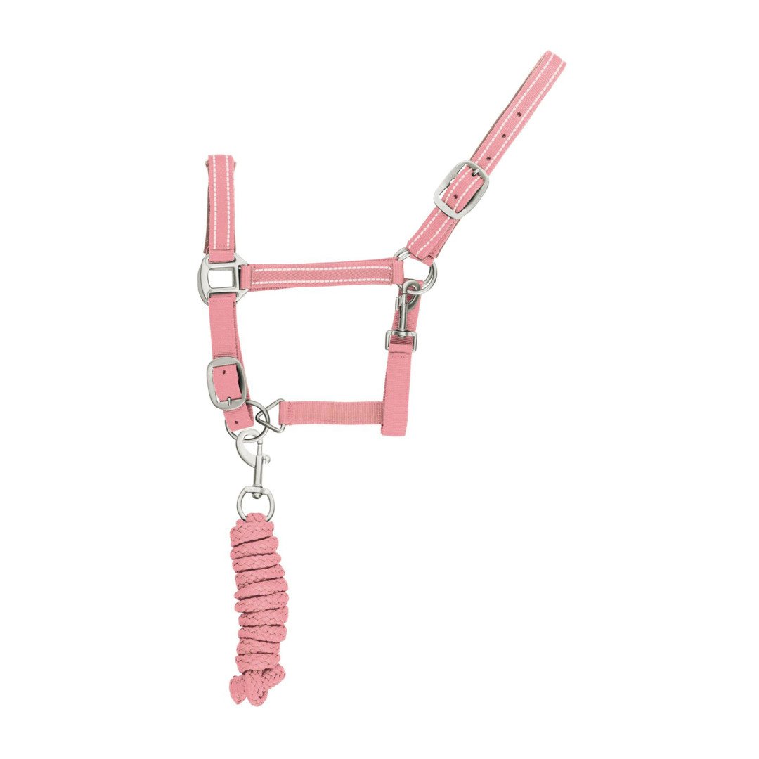 Nylon-C- Halfter mit Führleine, reflektierendes Modell