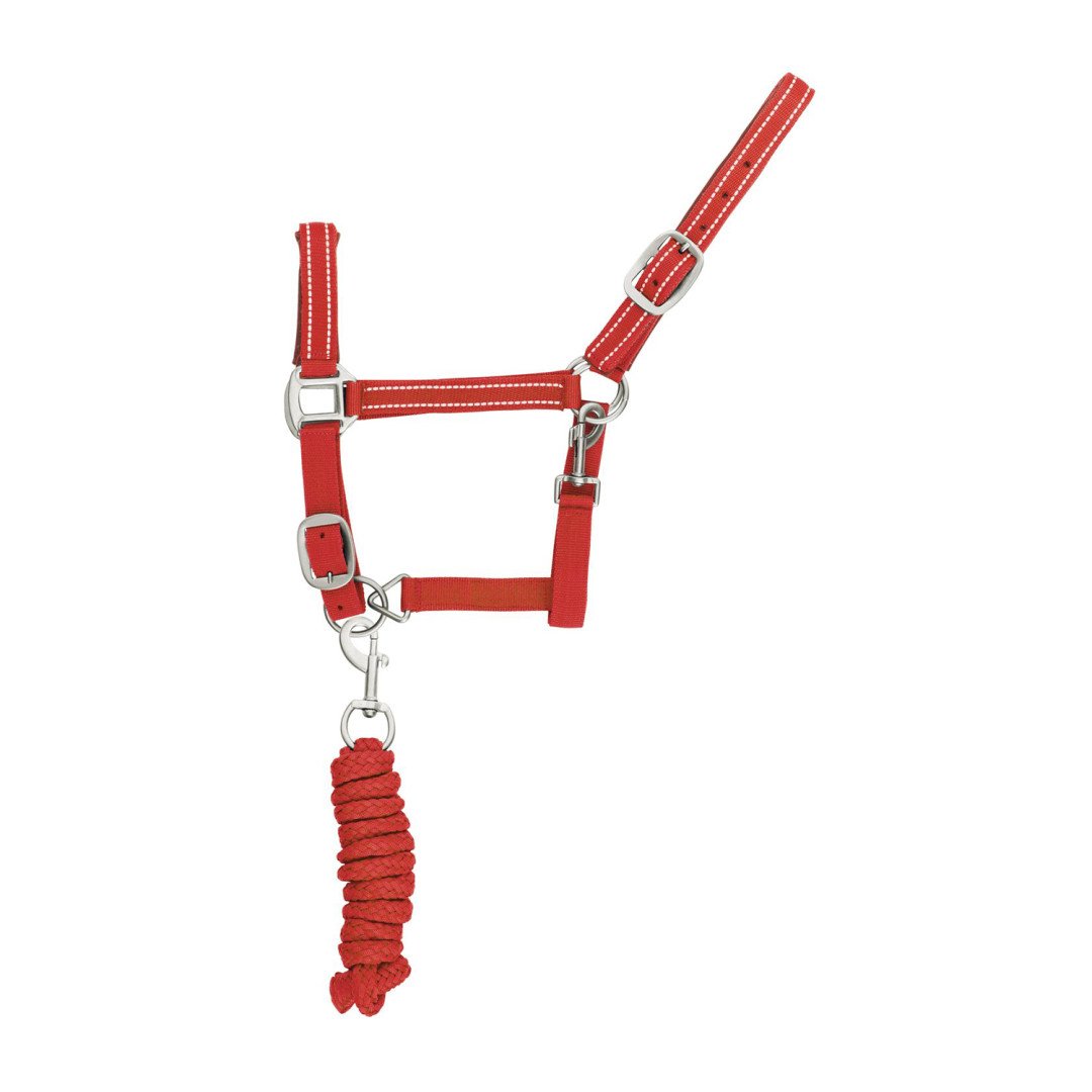Cavezza Nylon C lunghina Modello Reflective