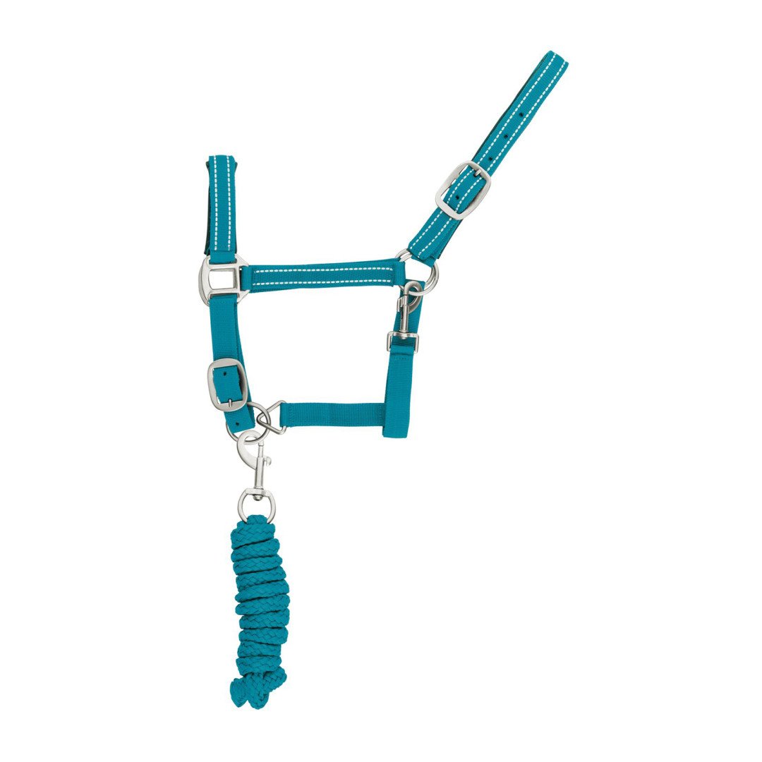 Nylon C Halter with lead, Reflective model
