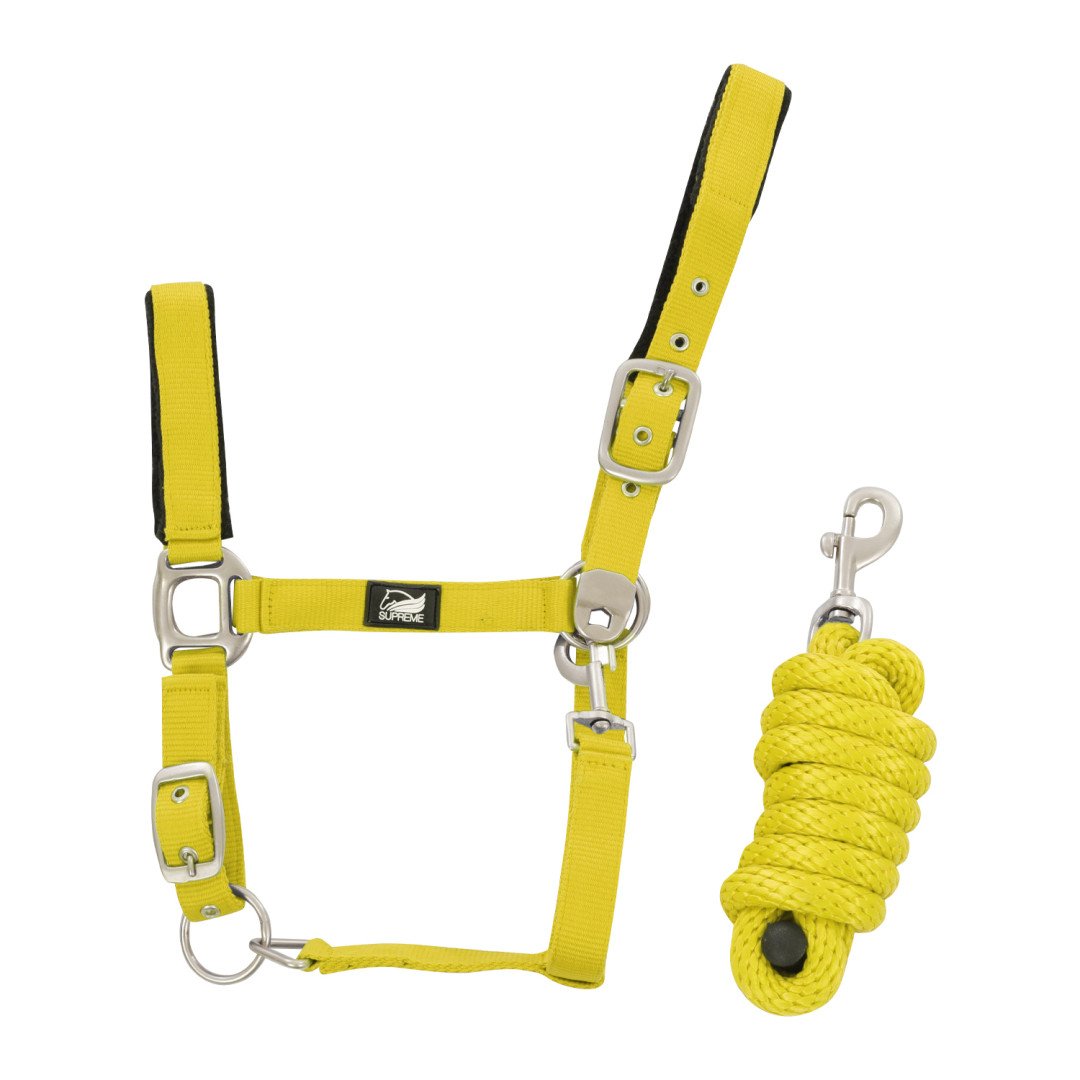 Licol en nylon tressé