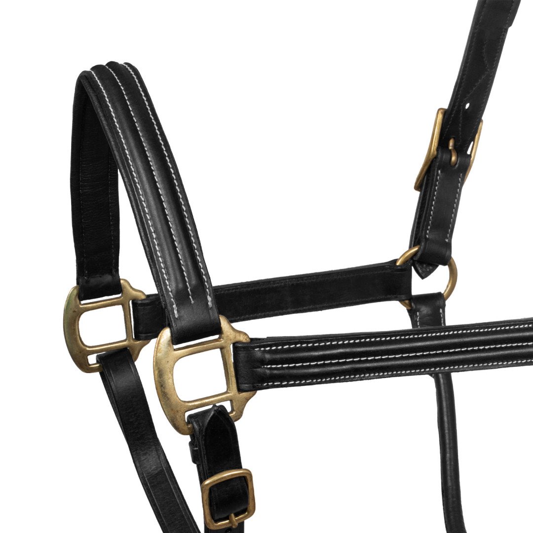 Licol Uke cuir triple