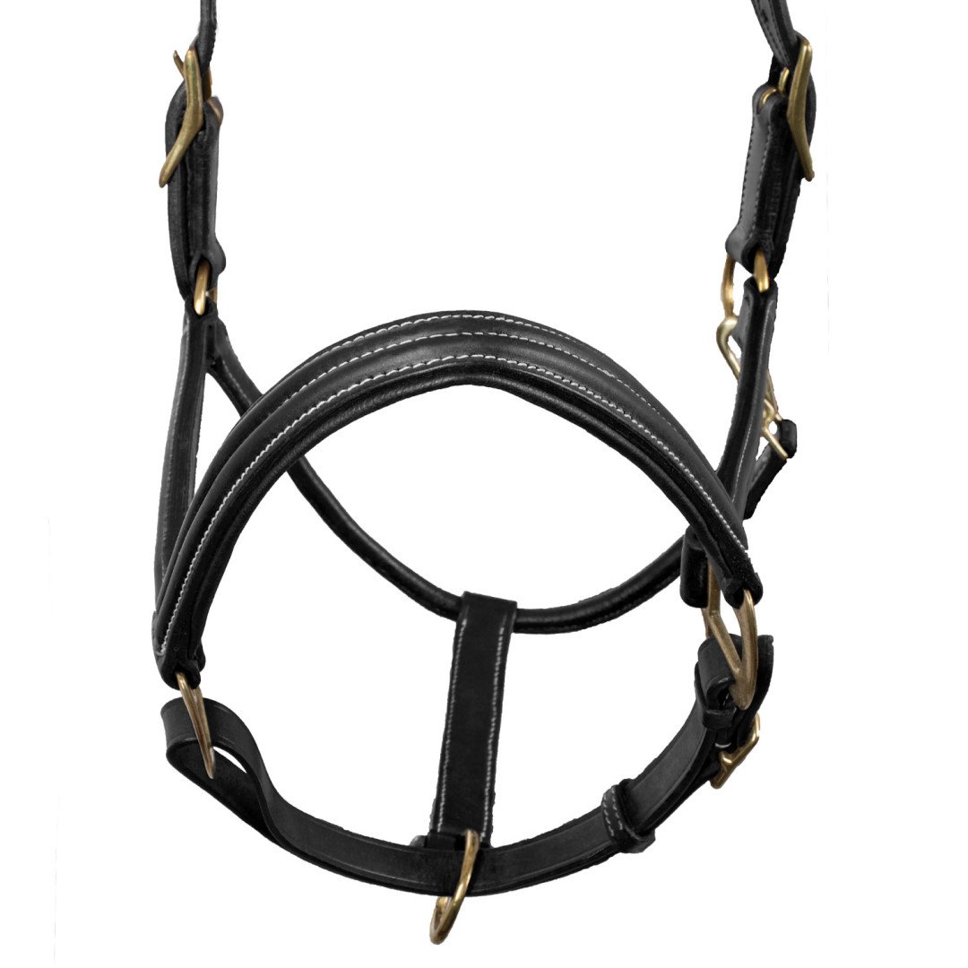 Licol Uke cuir triple