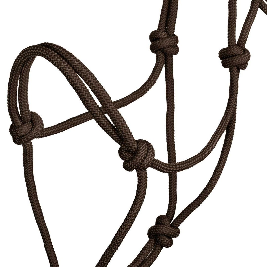 Cabresto de corda Cabeção