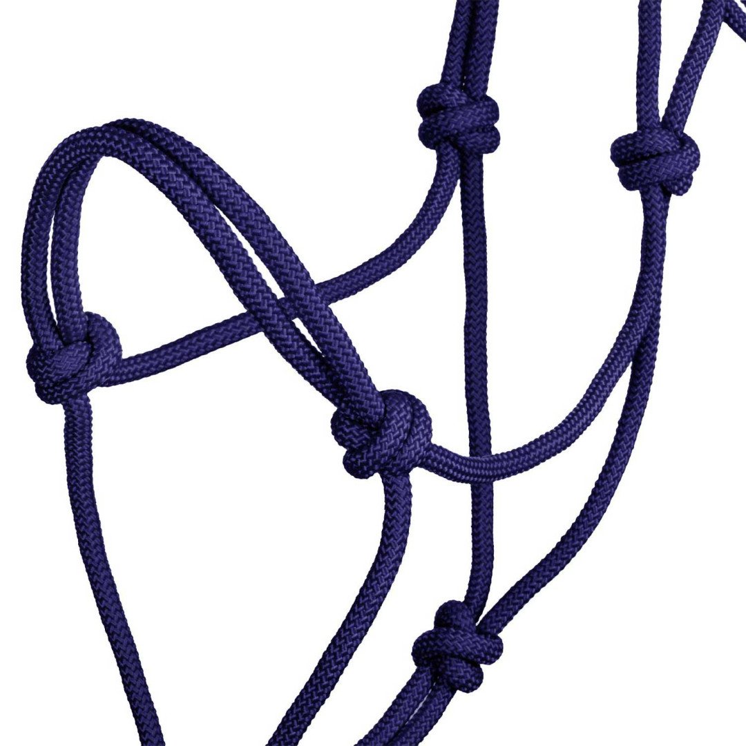 Cabresto de corda Cabeção