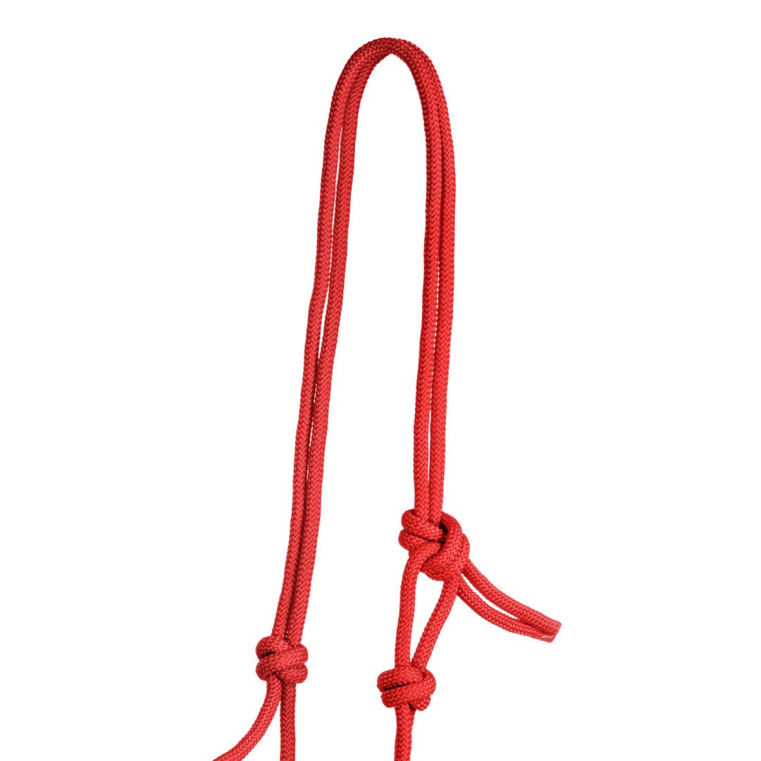 Licol en corde Licol