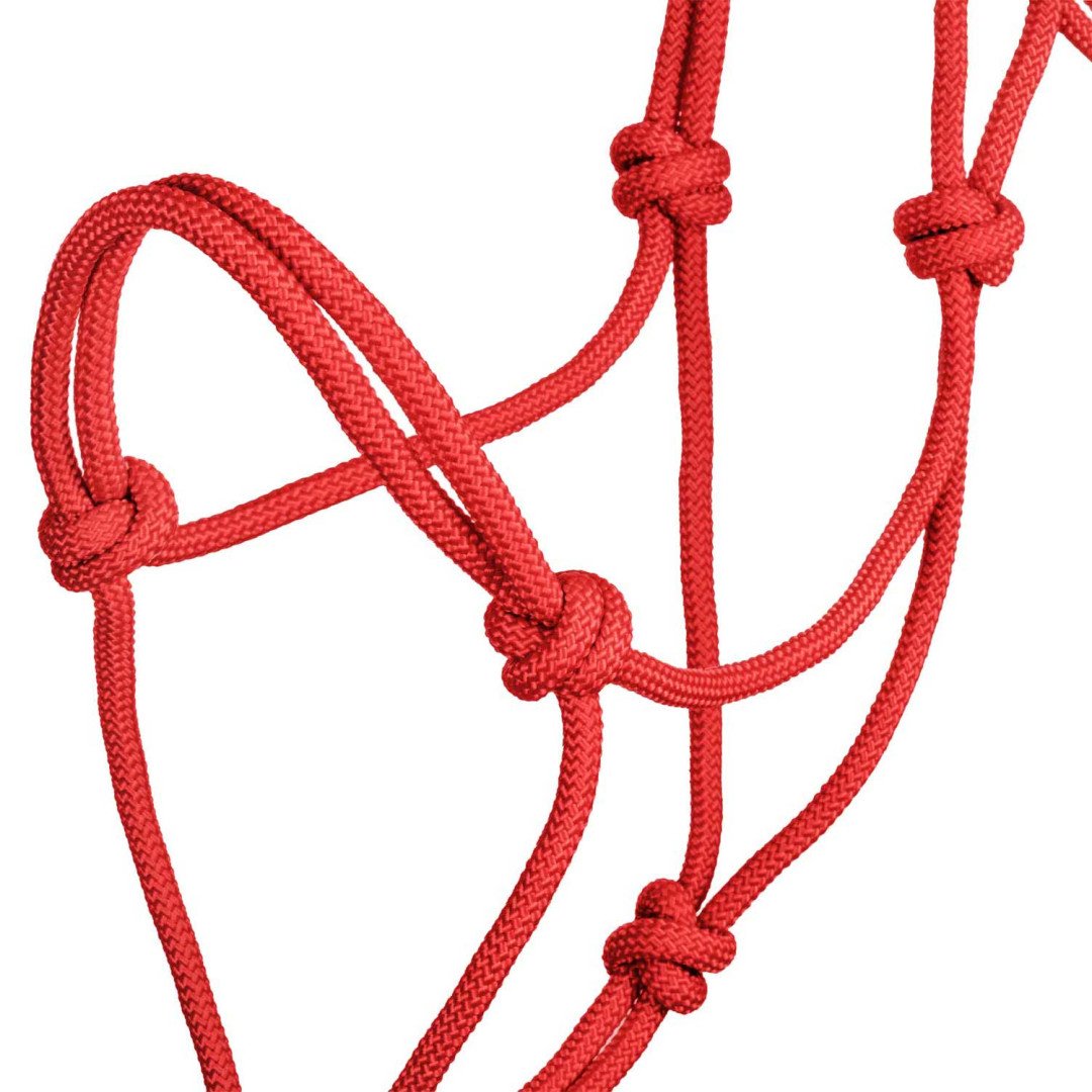 Cabestro de cuerda Cabezada