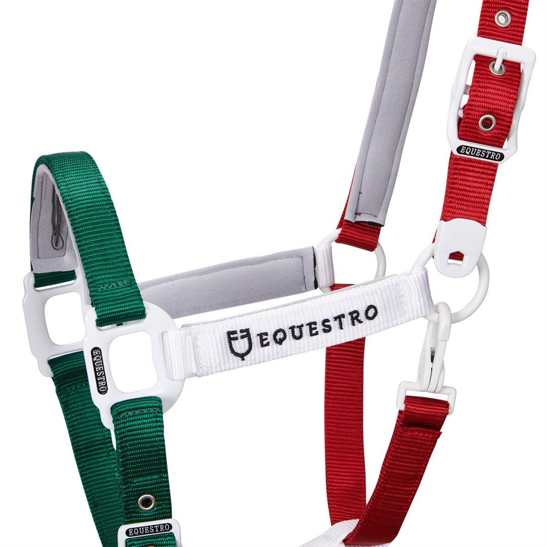 Cavezza Equestro Flaggy Lunghina