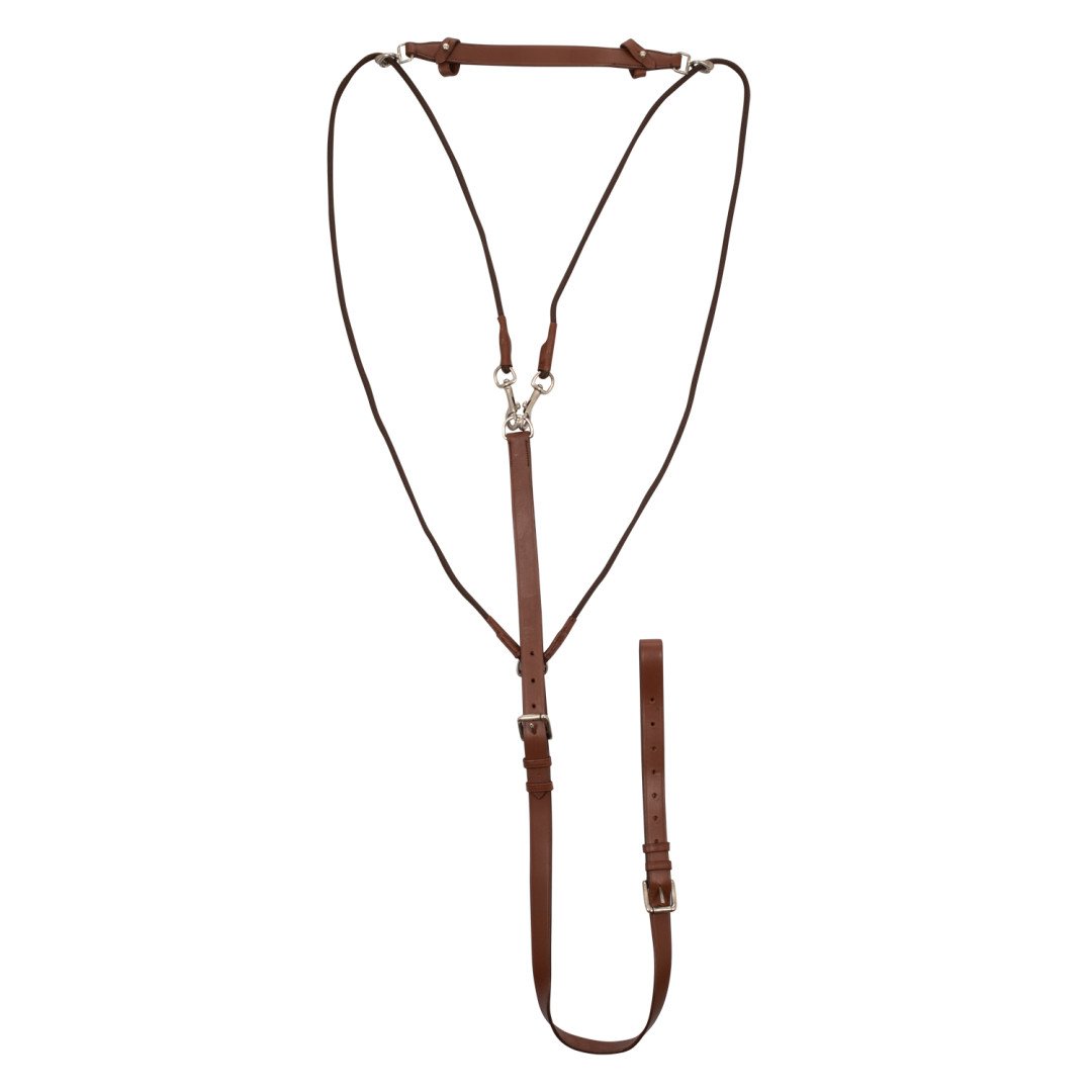 Frontal Gocce D'oro Chetak