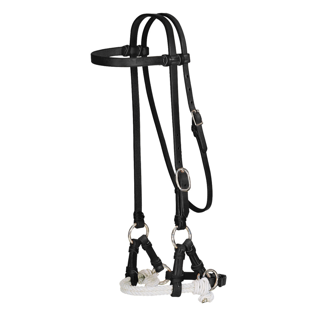 Side Pull Double Rawhide Pool's Side Pull Double Rawhide Pool's
