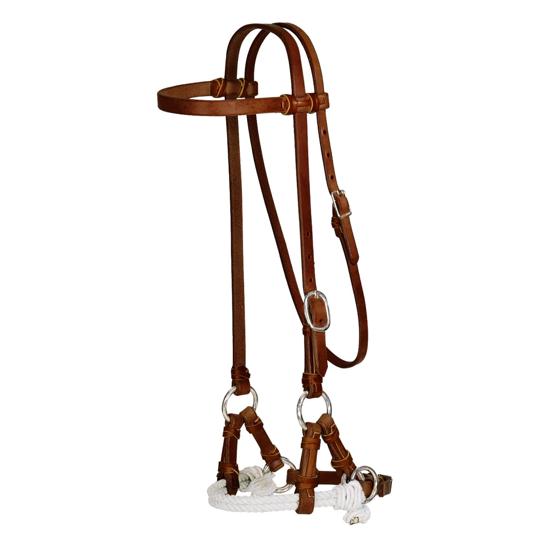 Side Pull Doppio Rawhide Pool's Side Pull Doppio Rawhide Pool's