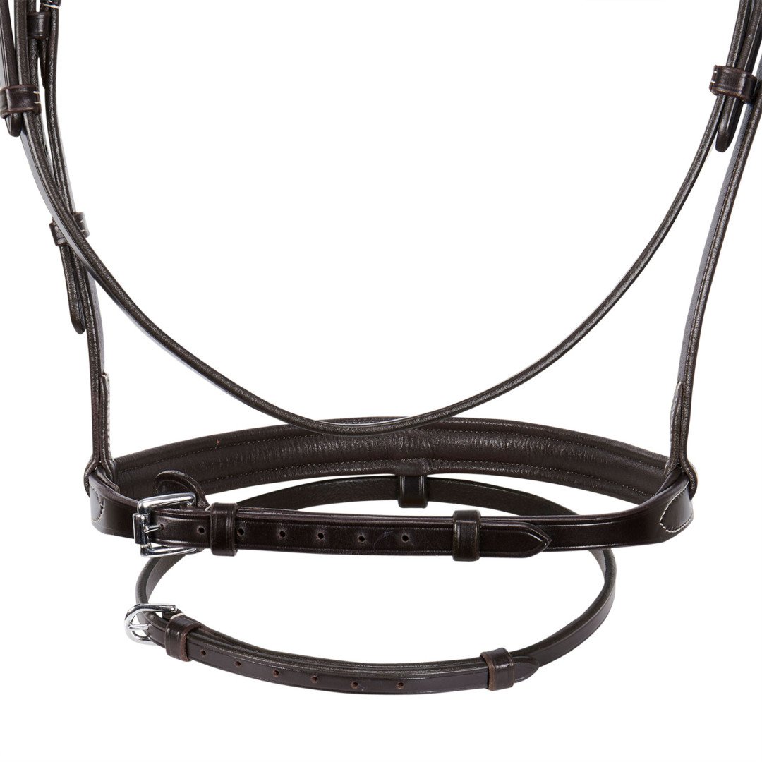 Jumping Bridle Without Reins