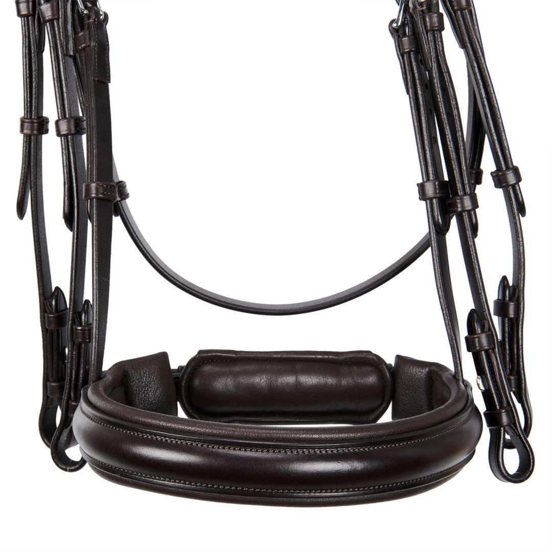 Briglia Dressage Senza Doppie Redini Evolution Sagomata