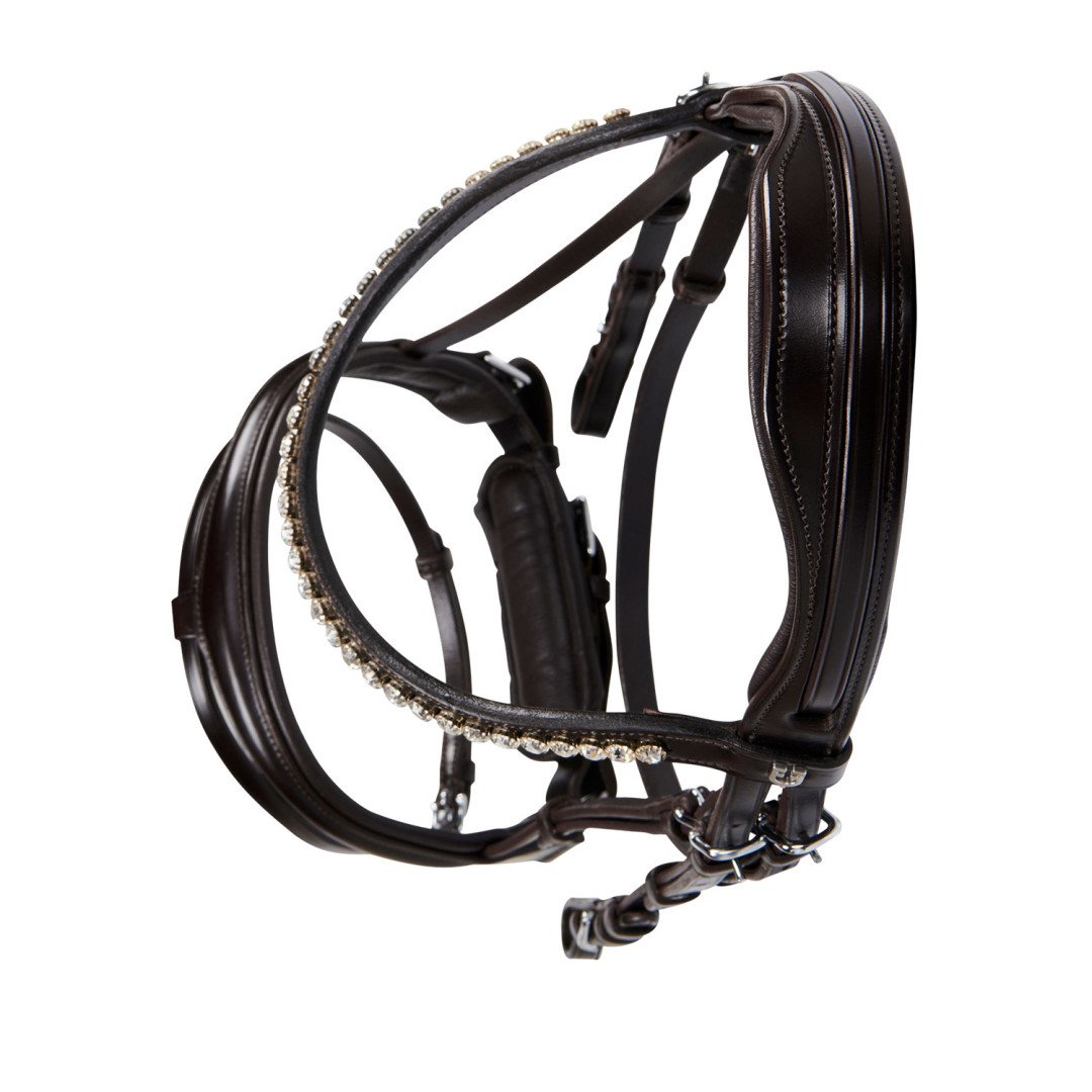 Crank Bridle Without Reins