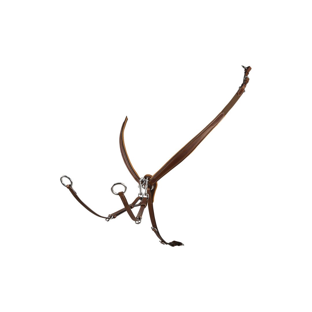 Collier de chasse sautant Np