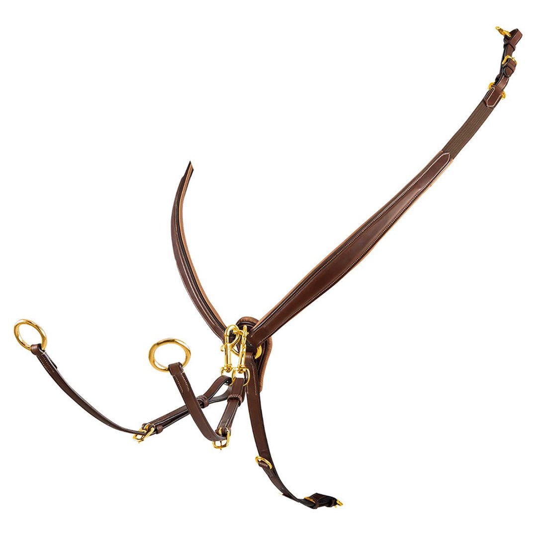 Collier de chasse d'or pour le saut