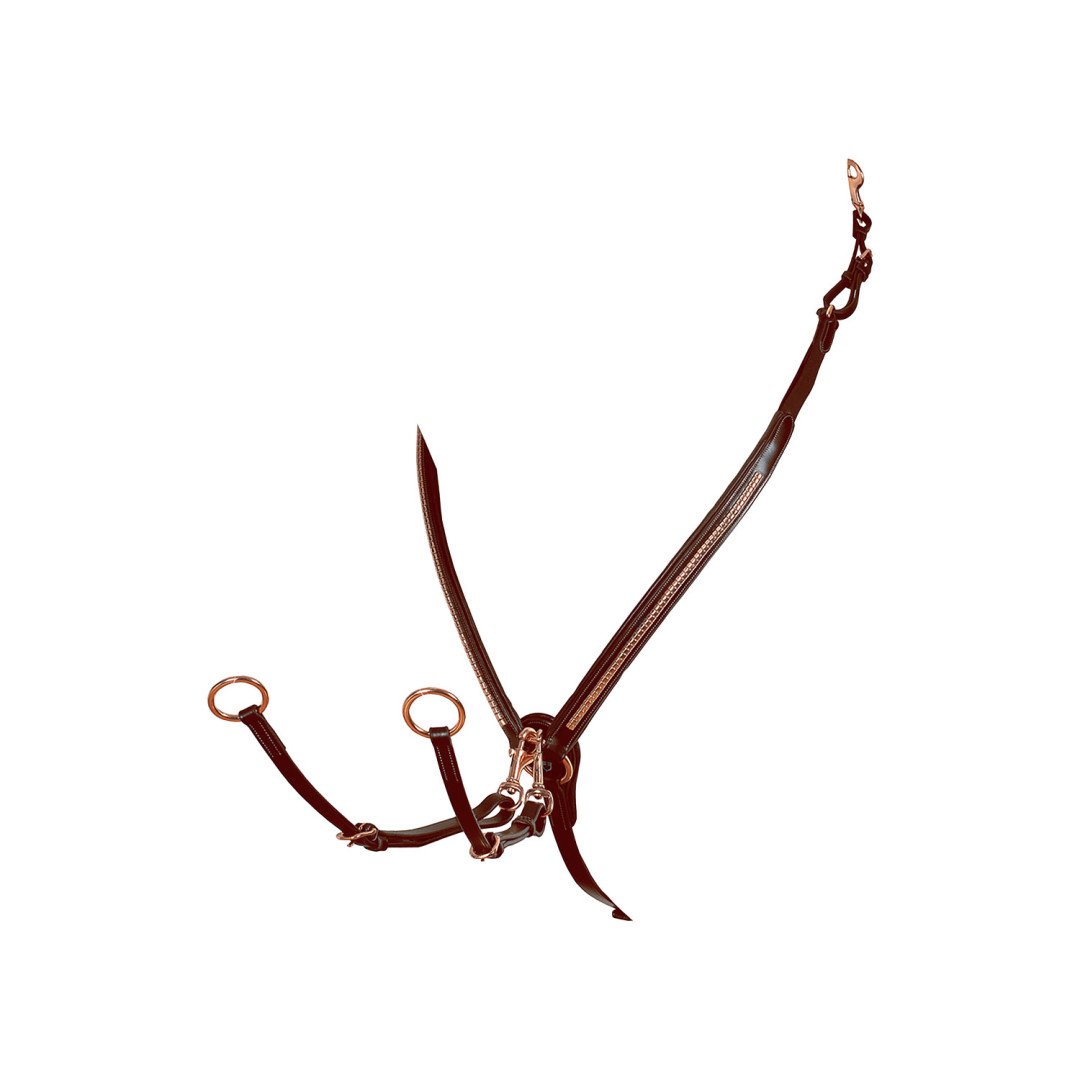 Roségoldene Clincher- Vorderzeug
