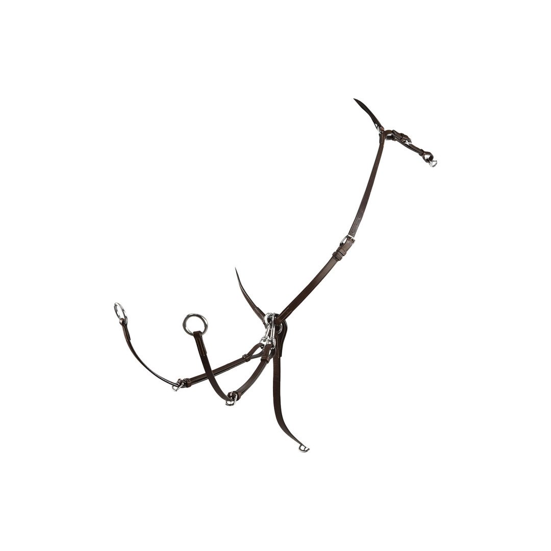 Hunting Running martingale Reg Np