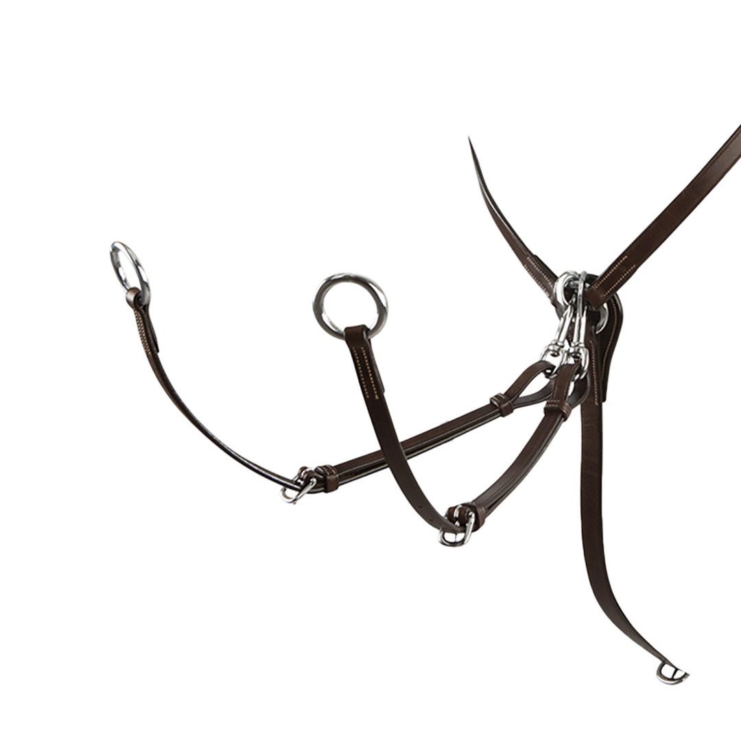 Hunting Running martingale Reg Np