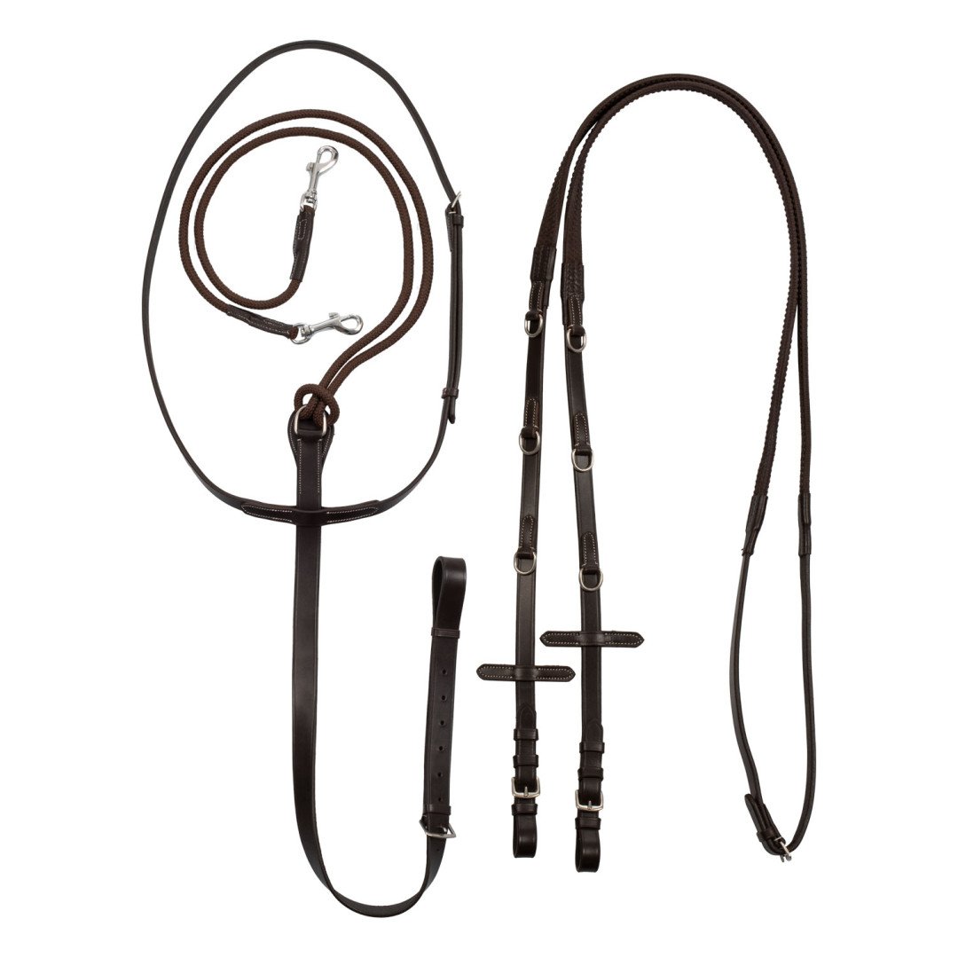 German Running martingale Pool's