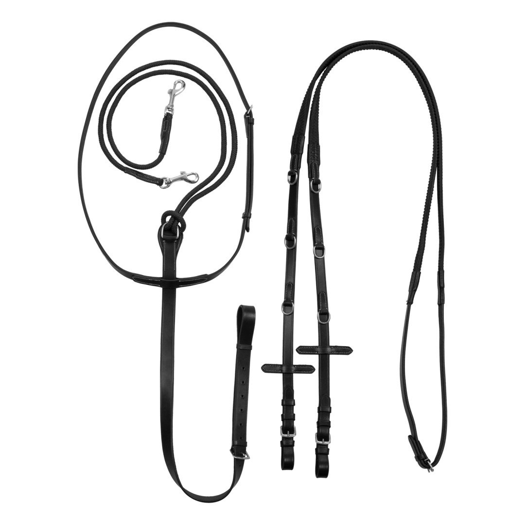 Juego Riendas de cuero Tiedeman con Martingala
