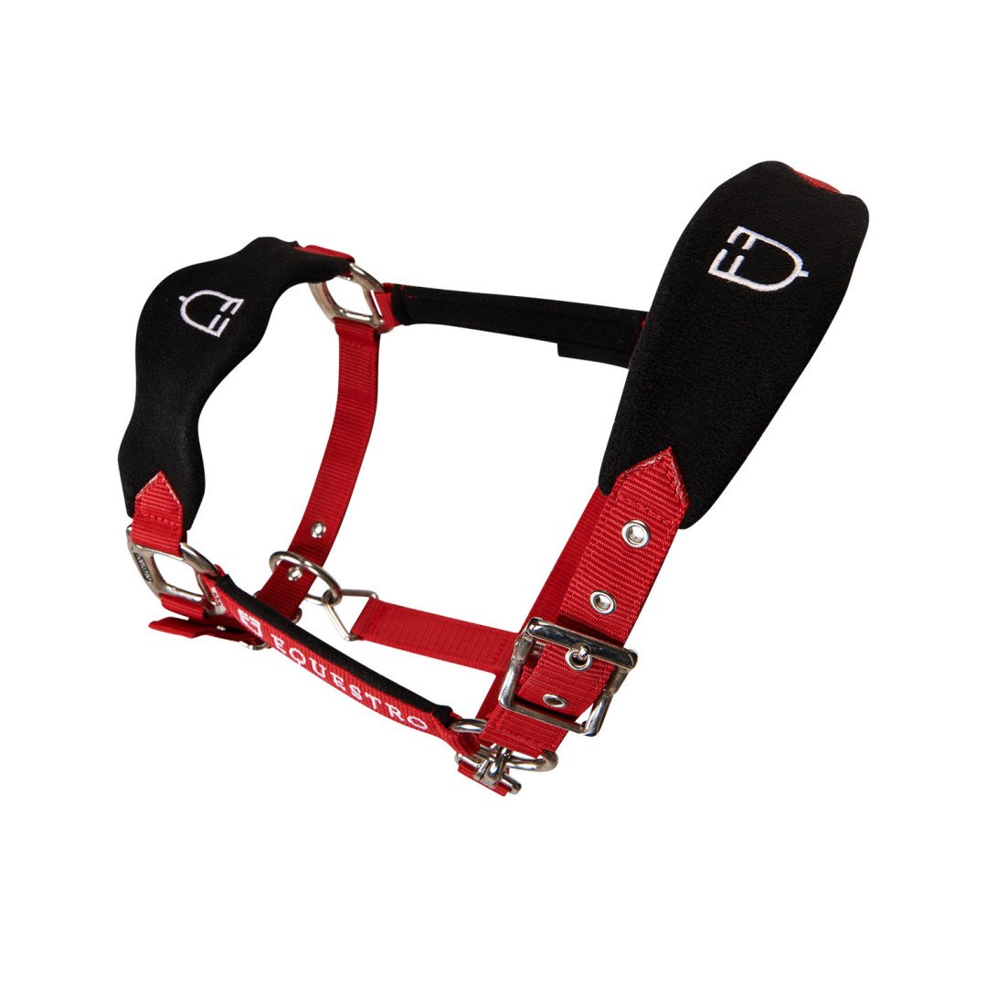 Licol en nylon Equestro en forme de C avec Licol polaire