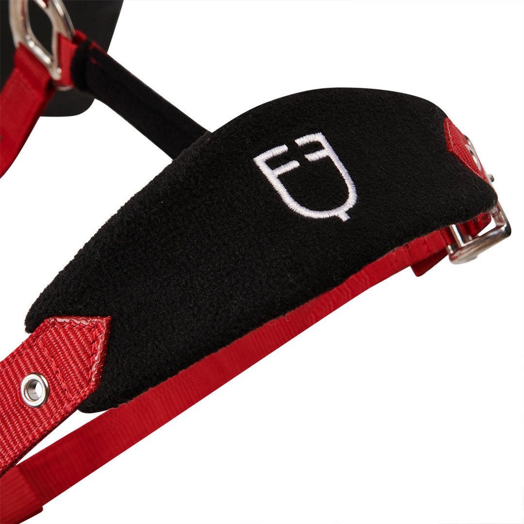 Licol en nylon Equestro en forme de C avec Licol polaire