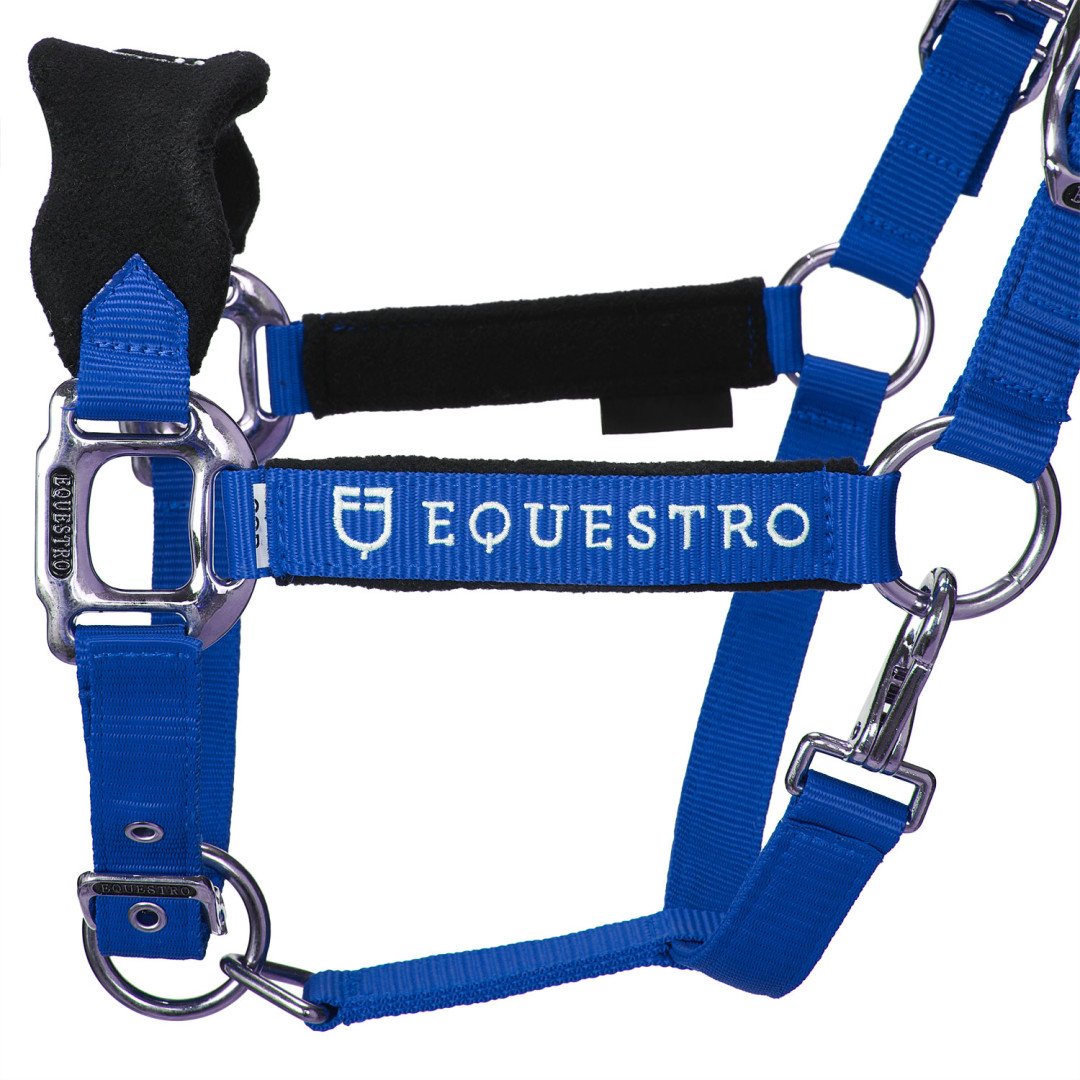 Licol en nylon Equestro en forme de C avec Licol polaire