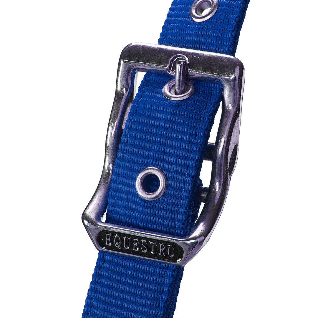 Licol en nylon Equestro en forme de C avec Licol polaire