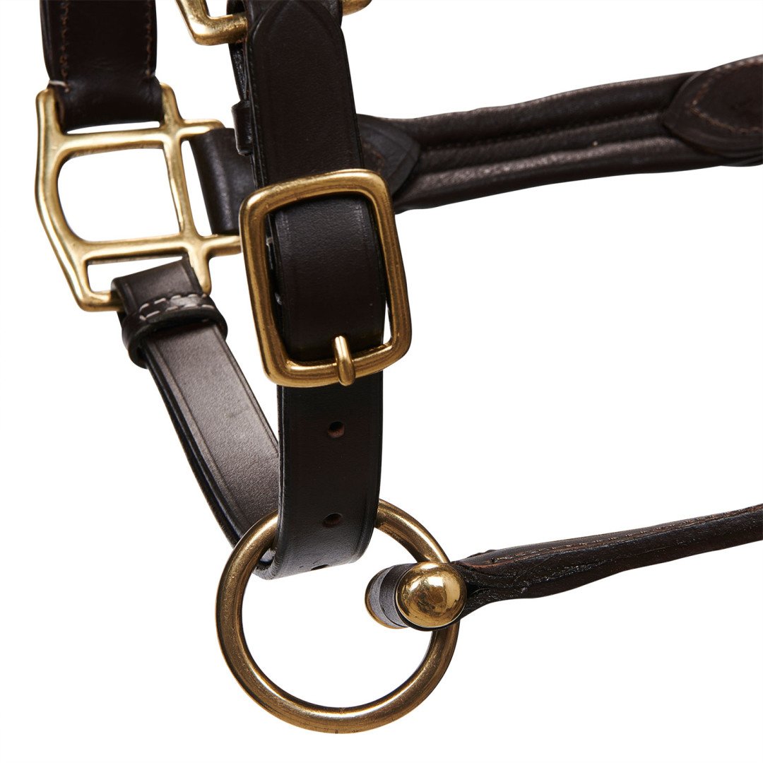 Cabezada de cuero Equestro superior
