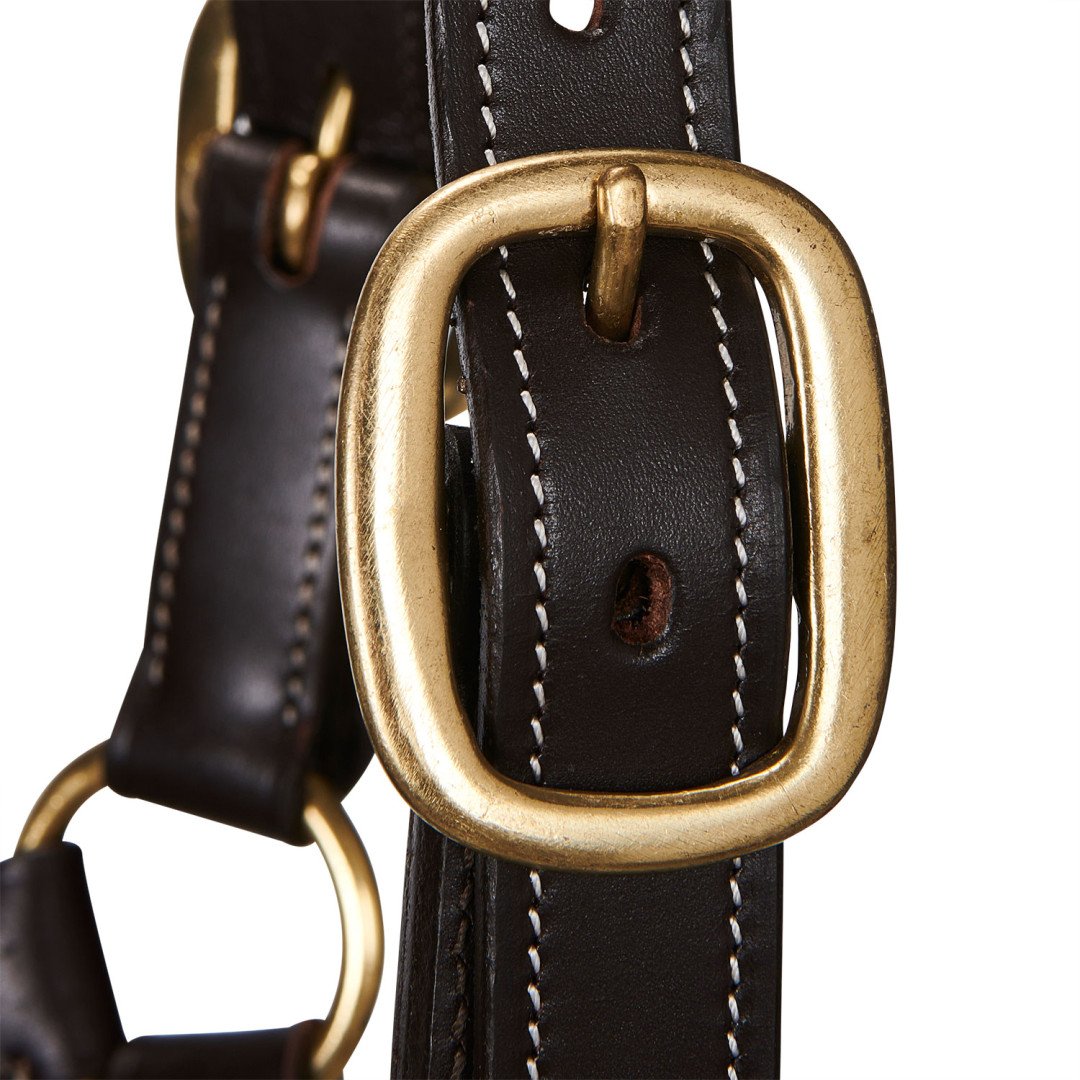 Licol en cuir de qualité supérieure Equestro