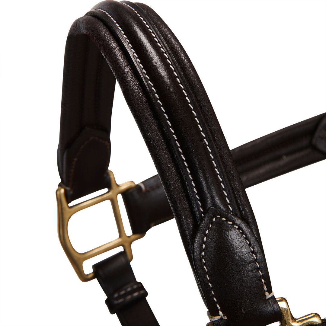 Cabezada de cuero Equestro superior