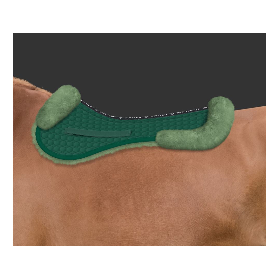 Kompensatoren  MATTES Salvagarrese Grün aus reinem Schaffell - Lamm Springreiten 140,98 € Kompensatoren  MATTES Salvagarrese Grün aus reinem Schaffell - Lamm Springreiten 140,98 €