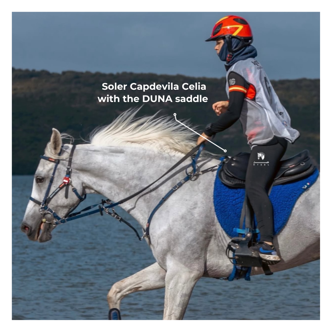 Sillas resistencia  EQUITIME silla de endurance modelo DUNA 1,00 € Sillas resistencia  EQUITIME silla de endurance modelo DUNA 1,00 €