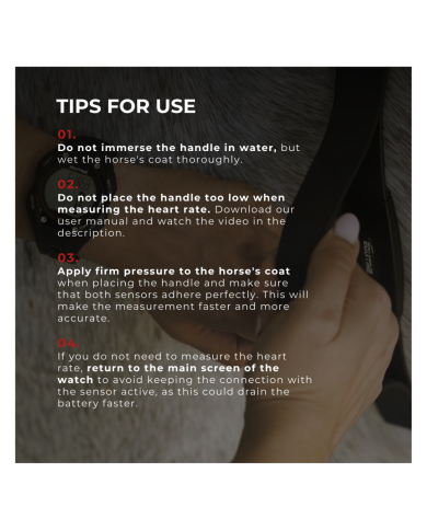 EQUITIME heart rate monitor for horses